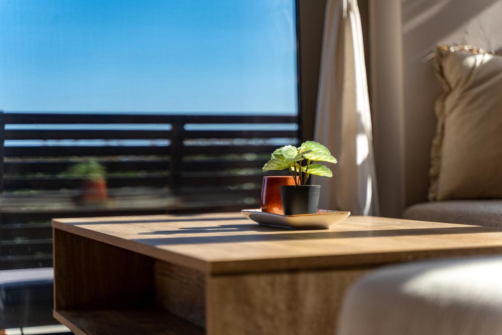 Driftwood Ferienhaus Argassi